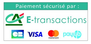 ca e transactions cb visa mastercard 300