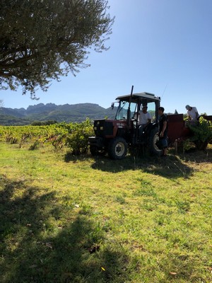 tracteur_3